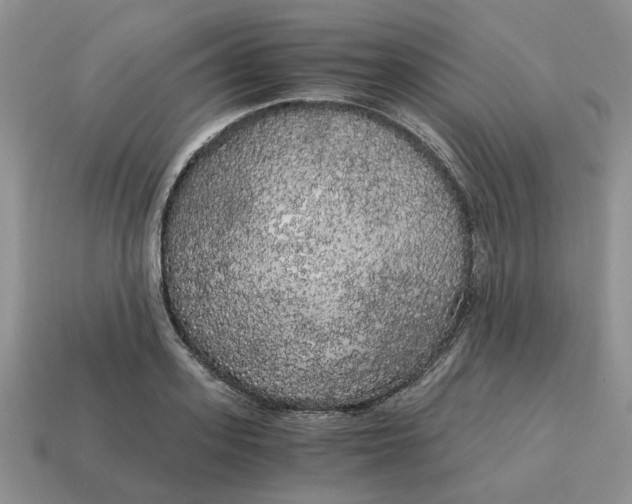 X0000114590939200911091254