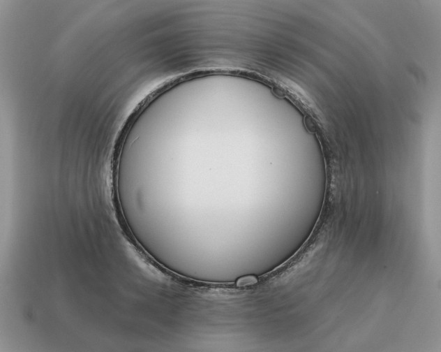 X0000114590942200911091254