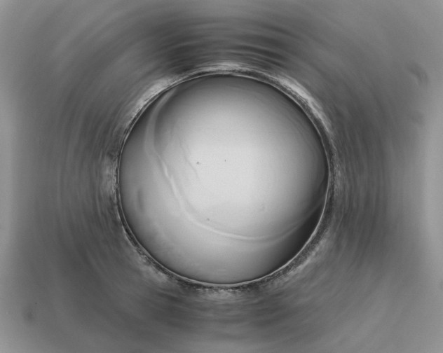 X0000114590945200911091254