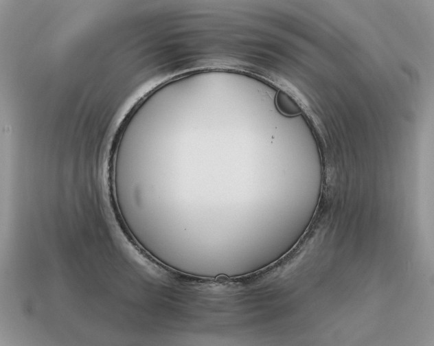 X0000114590947200911091254