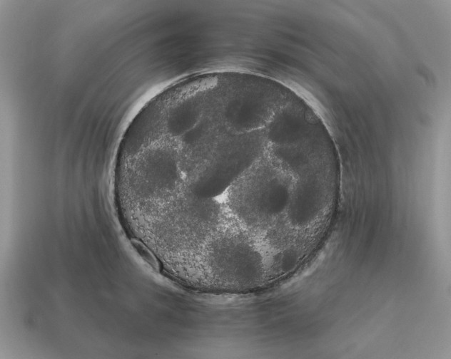 X0000114590949200911091254