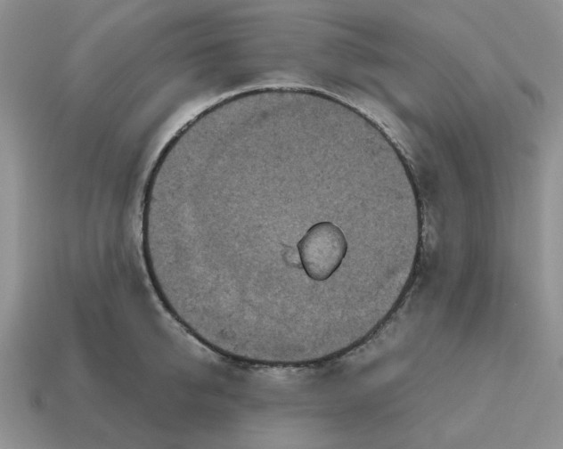 X0000114590950200911091254