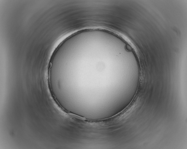 X0000114590951200911091254