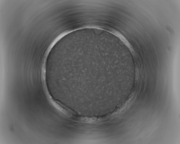 X0000114590955200911091254