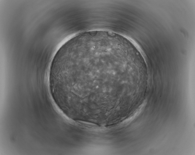 X0000114590957200911091254