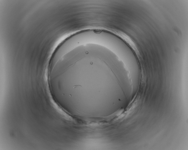 X0000114590958200911091254