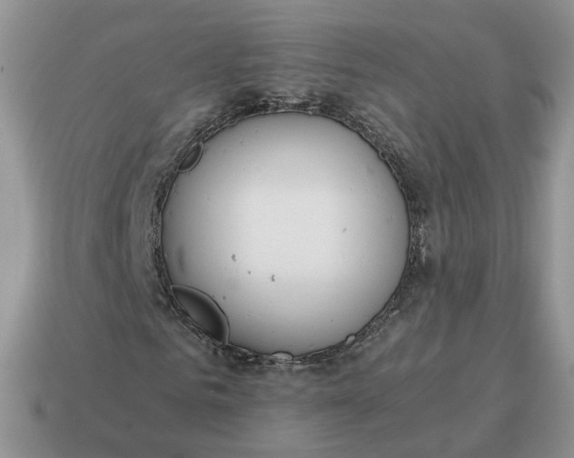 X0000114590961200911091253