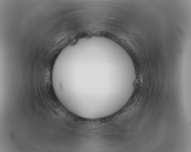 X0000114590964200911091253