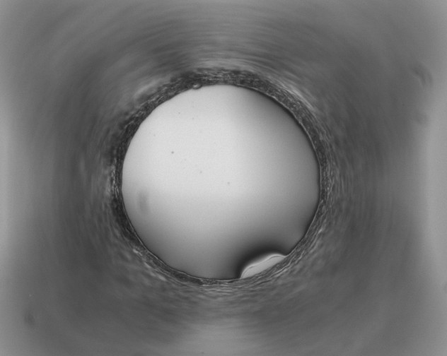 X0000114590965200911091253