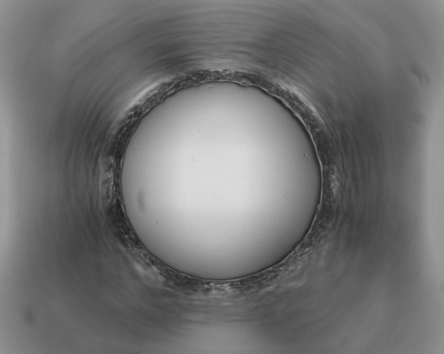 X0000114590968200911091253