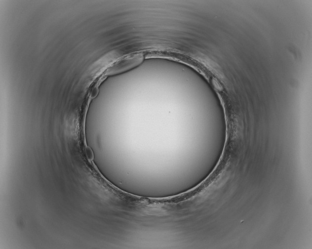 X0000114590969200911091253