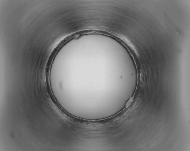 X0000114590972200911091253