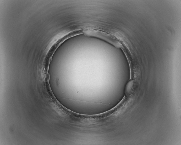 X0000114590973200911091253