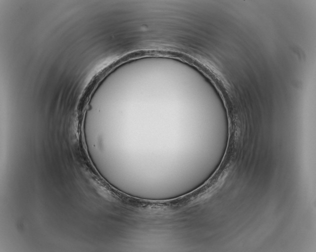 X0000114590974200911091253