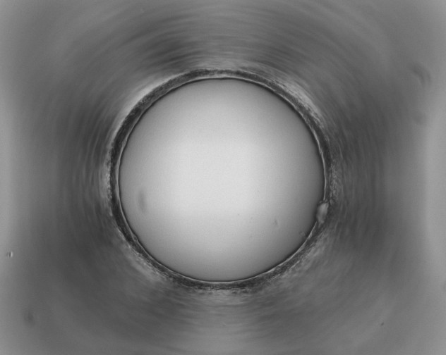 X0000114590976200911091253