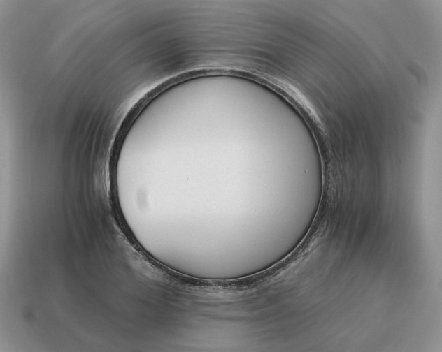 X0000114590980200911091253