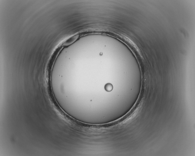 X0000114590981200911091253