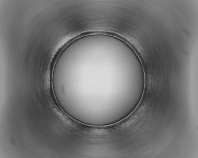 X0000114590982200911091253