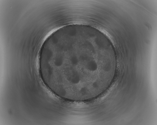 X0000114590983200911091253