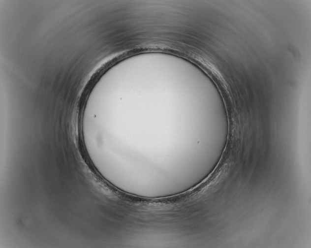 X0000114590984200911091253