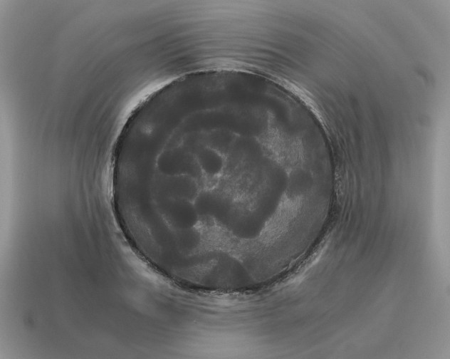 X0000114590987200911091253