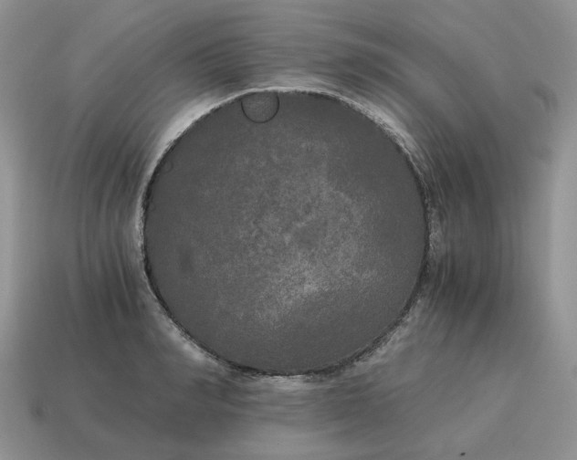 X0000114590990200911091253