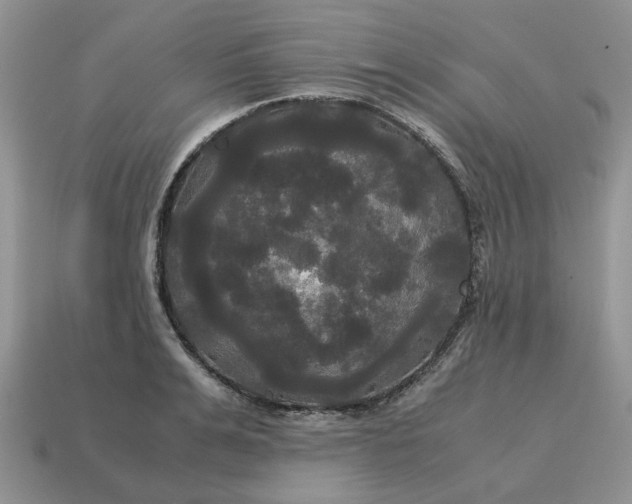 X0000114590991200911091253