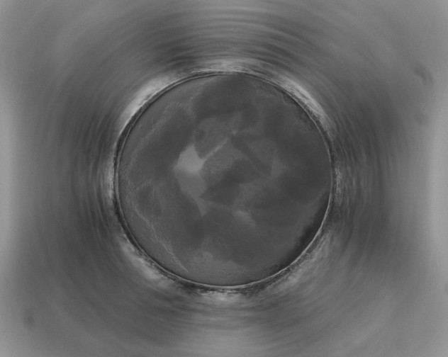 X0000114590994200911091253