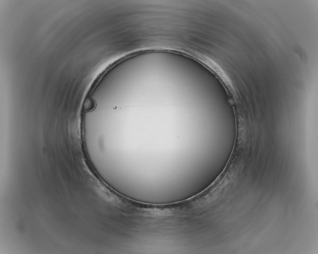 X0000114590996200911091253