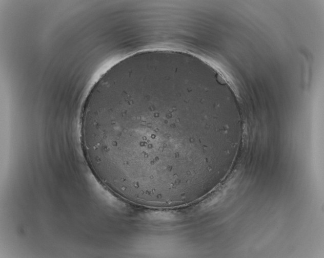 X0000114590998200911091253