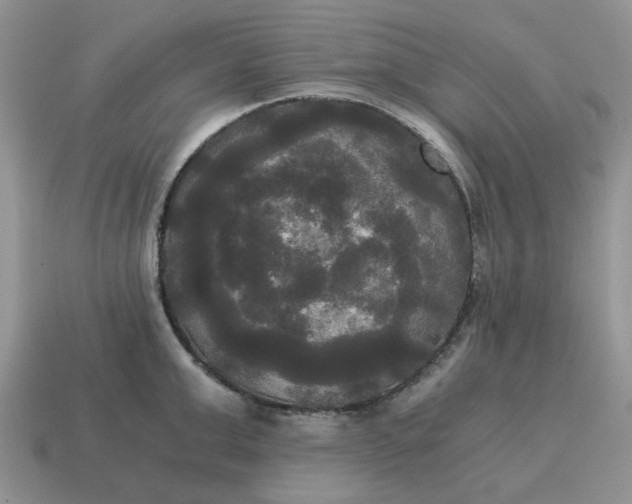 X0000114590999200911091253