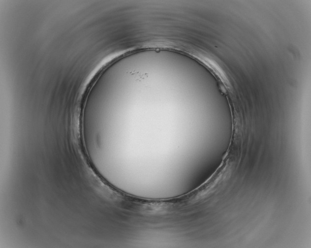 X0000114591000200911091253