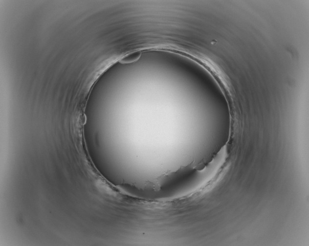 X0000114591001200911091253