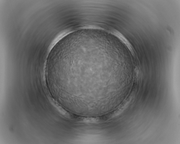 X0000114591002200911091253