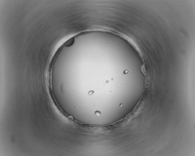 X0000114591003200911091253