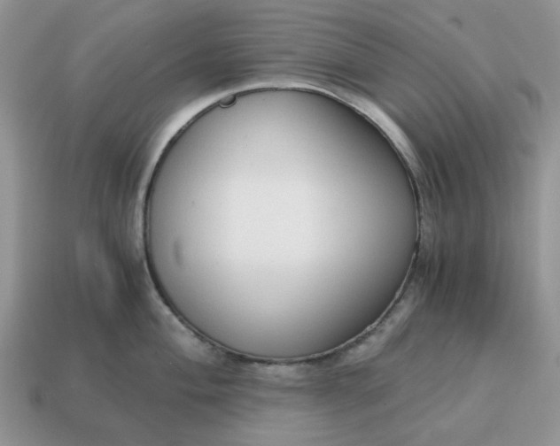 X0000114591004200911091253