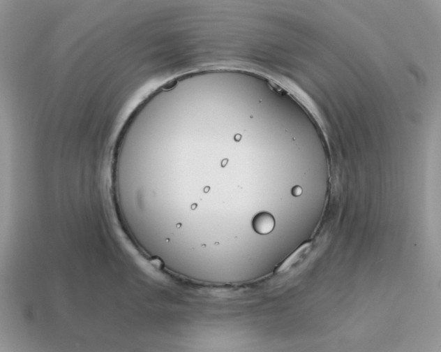 X0000114591005200911091253