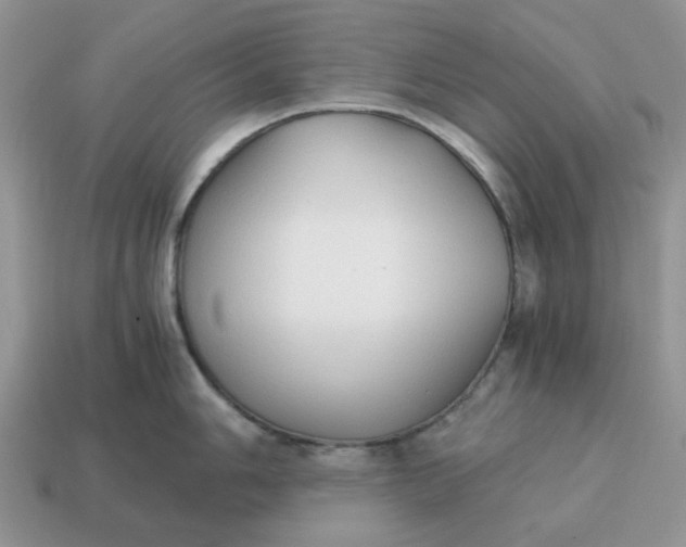 X0000114591006200911091253