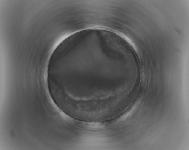 X0000114591007200911091253