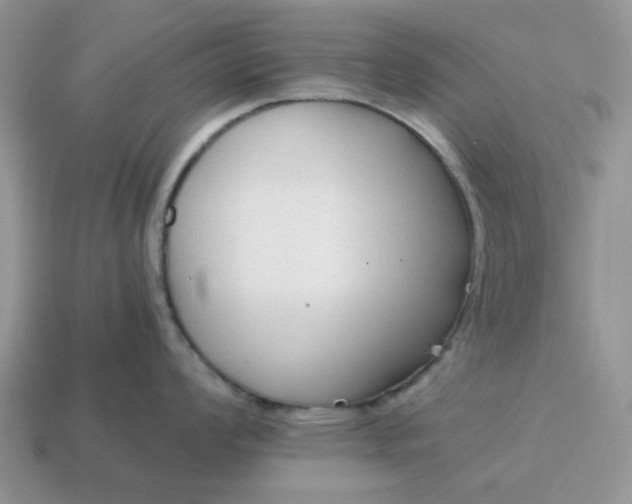 X0000114591008200911091253