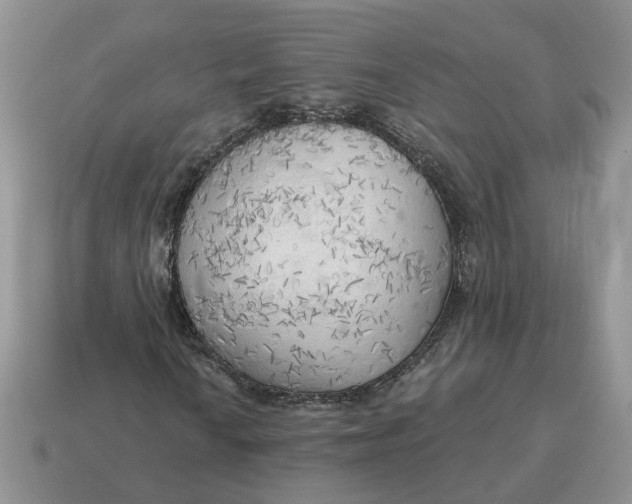 X0000114591010200911091252