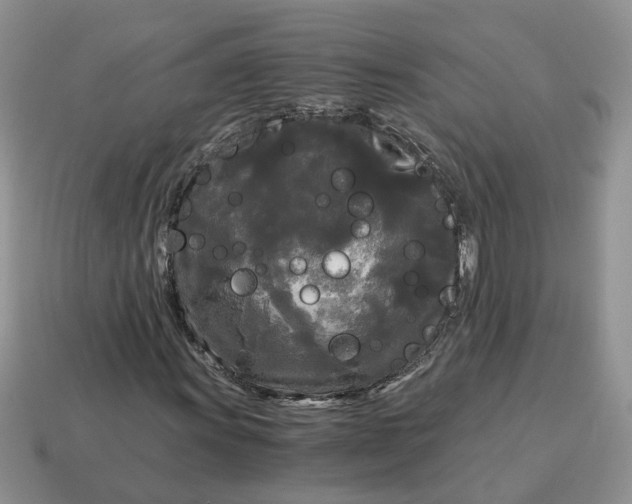 X0000114591011200911091252