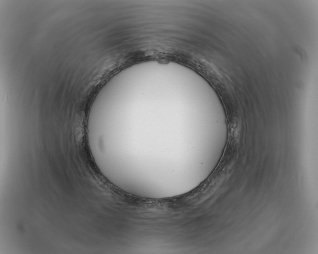 X0000114591012200911091252