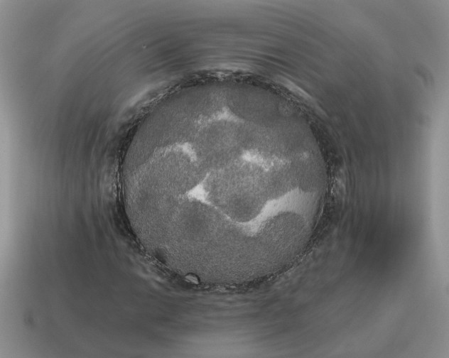 X0000114591014200911091252