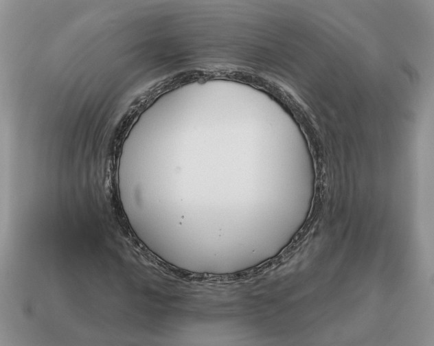 X0000114591016200911091252