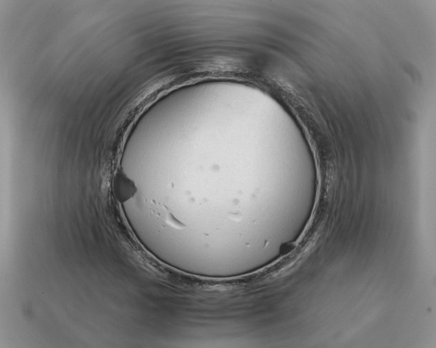 X0000114591017200911091252