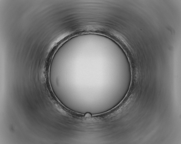 X0000114591018200911091252