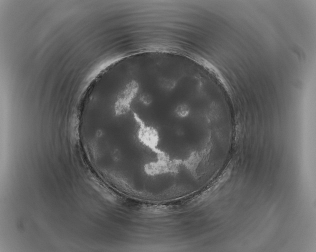 X0000114591019200911091252