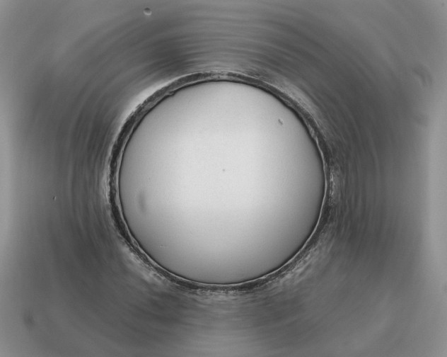 X0000114591020200911091252