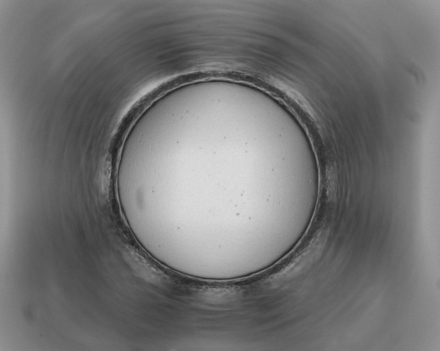 X0000114591021200911091252